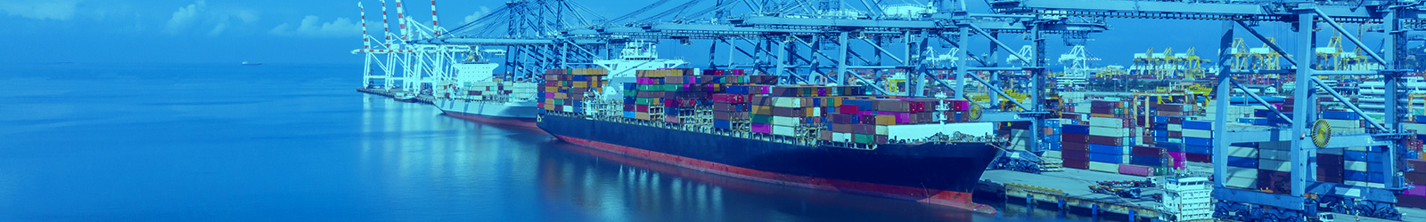 採用情報 | トレードジャパン